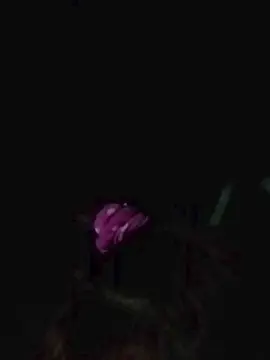 Cam4 Best live sex cam show of morena652