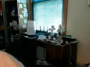 Cam4 Adult Video Chat of guyboobies