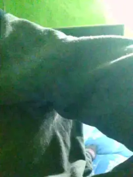 Cam4 Live Sex Cam of Novaton