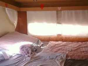 Cam4 Free Porn Cam of illymaus