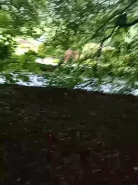 Cam4 Sex Cam of Slutddy