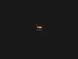 Cam4 Watch Live Sex Cams of snow_girl04