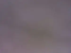 Cam4 Free Porn Cam of singolare1