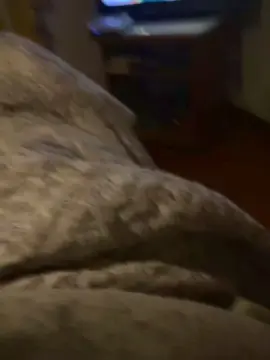 Cam4 Live Sex of Hete40