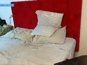 Cam4 Live Sex of NicoDavis