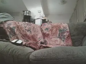 Cam4 Sex Chat of BIGfnd