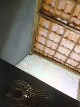 Cam4 Live Sex of Jardineiroativo