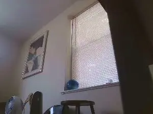 Cam4 Adult Webcam of PiggyProlapse