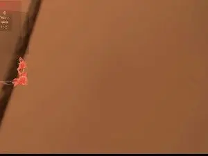 Cam4 Best Webcam of miarossx25
