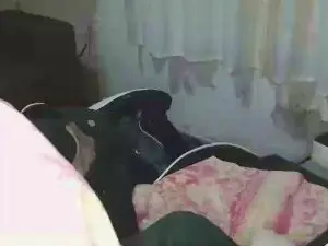 Cam4 Free Live Porn of joaopaulogc