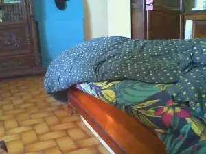 Cam4 Live Porn of Sissyjustine