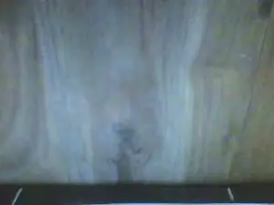 Cam4 Adult Webcam of centjjoseph