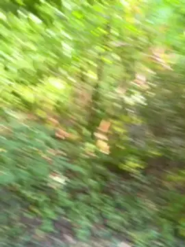 Cam4 Sex Cam of Bittchiz686868