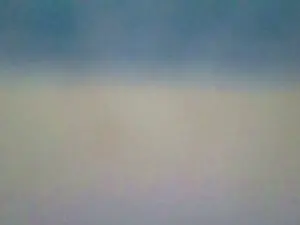 Cam4 Live Porn of CouplesHot1993