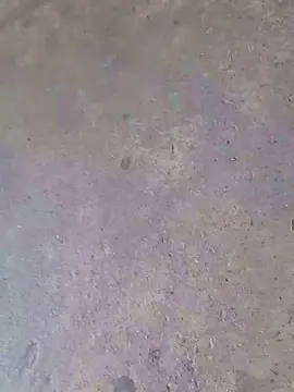Cam4 Free Porn Cam of rickcba