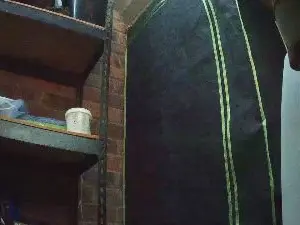 Cam4 Live Porn of saggyblack