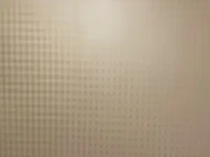 Cam4 Nude Webcam of LaveniaAronoff
