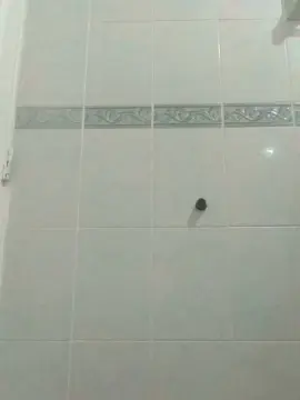 Cam4 Live Porn of herny_carrillo