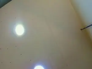 Cam4 Live Porn of maxim_rod