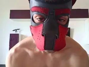 Cam4 Best Webcam of Frabroker
