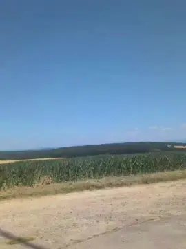 Cam4 Live Sex of Herr_Passion