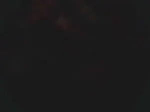 Cam4 Sex Cam of lishrimpdick