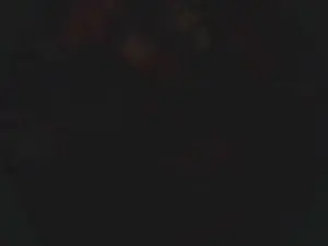 Cam4 Live Sex of lishrimpdick