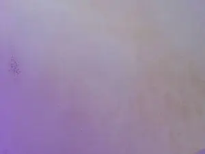 Cam4 Live Sex Cam of Allison_Star1