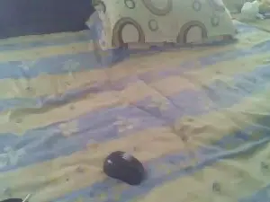 Cam4 Free Porn Cam of naskicha