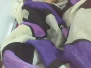 Cam4 Watch Live Sex Cams of cutie_pie_hot
