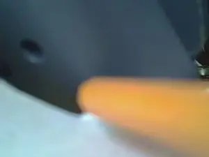 Cam4 Live Sex of Talniceman49