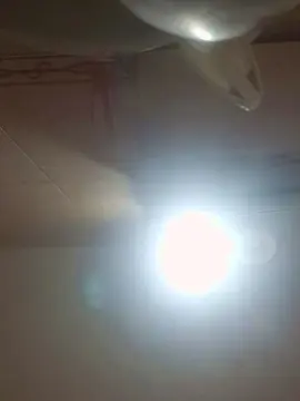 Cam4 Live Sex of Paitoh