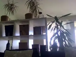 Cam4 Adult Webcam of bigcockjohnxxx