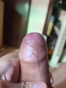 Cam4 Sex Chat of Yankonw