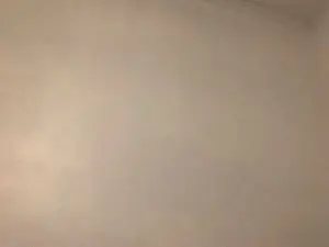 Cam4 Private Sex Chat of Javierapalacios