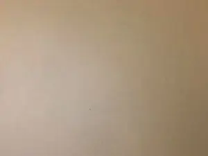 Cam4 Free Live Porn of Javierapalacios
