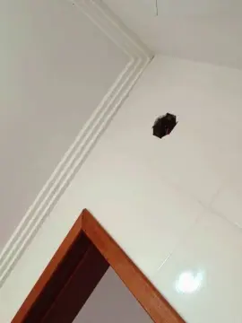 Cam4 Private Sex Chat of Negaodorio21