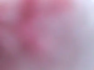 Cam4 Adult Video Chat of Ready2party88