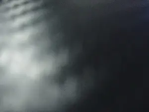 Cam4 Free Live Porn of TigerT