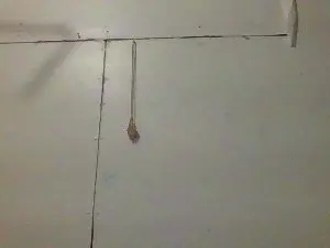 Cam4 Private Sex Chat of TonySpliff