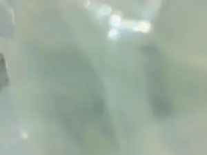 Cam4 Private Sex Chat of charlesgato