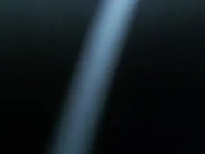 Cam4 Live Porn of HotJames2