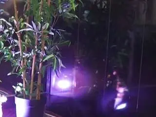 Camsoda Free Porn Cam of helenceccile