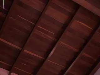 Camsoda Live Porn of ariafoster