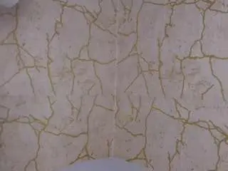 Camsoda Live Porn of redbonelolly