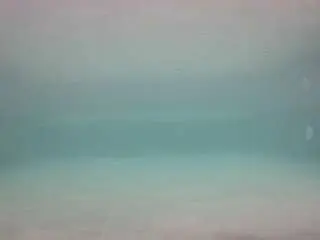 Camsoda Live Sex of voyeurcam-casa-salsa-pool-1