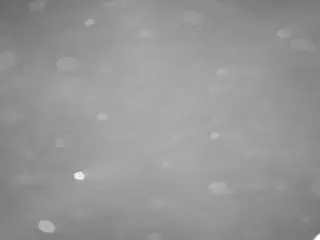 Camsoda Watch Live Sex Cams of voyeurcam-casa-salsa-pool-1