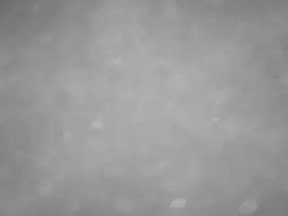 Camsoda Live Porn of voyeurcam-casa-salsa-pool-1