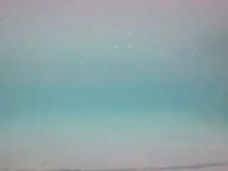 Camsoda Adult Webcam of voyeurcam-casa-salsa-pool-1