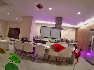 Camsoda Live Sex of voyeurcam-casa-salsa-fishtank